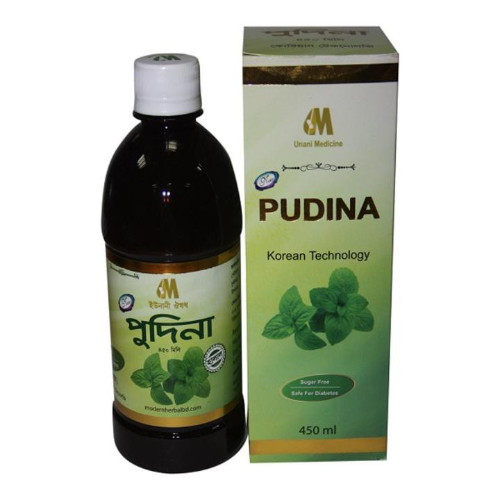 Pudina 450 ml 1 Pcs