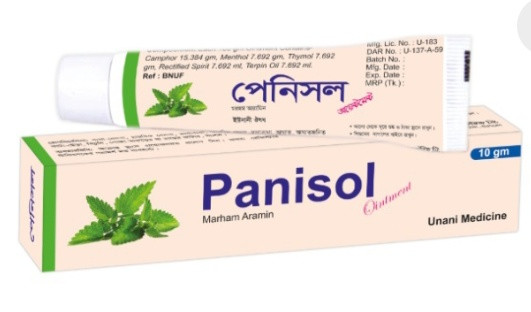 Panisol Ointment - 10 gm (1 Pcs)