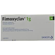 Fymoxiclav 1 g (24 Tab)